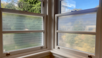 Need Help Finding The Right 3M Film Solution